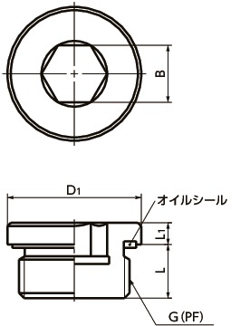 SPN-L-Gフランジ付き六角穴付きスクリュープラグ寸法図