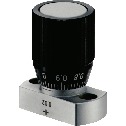 LCP