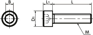 SNSL-PN六角穴付きボルト（SUS316L/表面硬化処理）寸法図