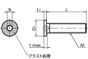 SSHS-M6-12-HB｜六角穴付き極低頭ボルト（頭部ブラスト処理） M 6 L 12